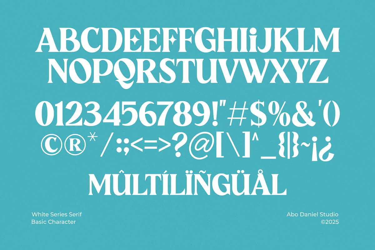 White Series, a Serif Font by Abo Daniel Studio (Photo 12 of 14)