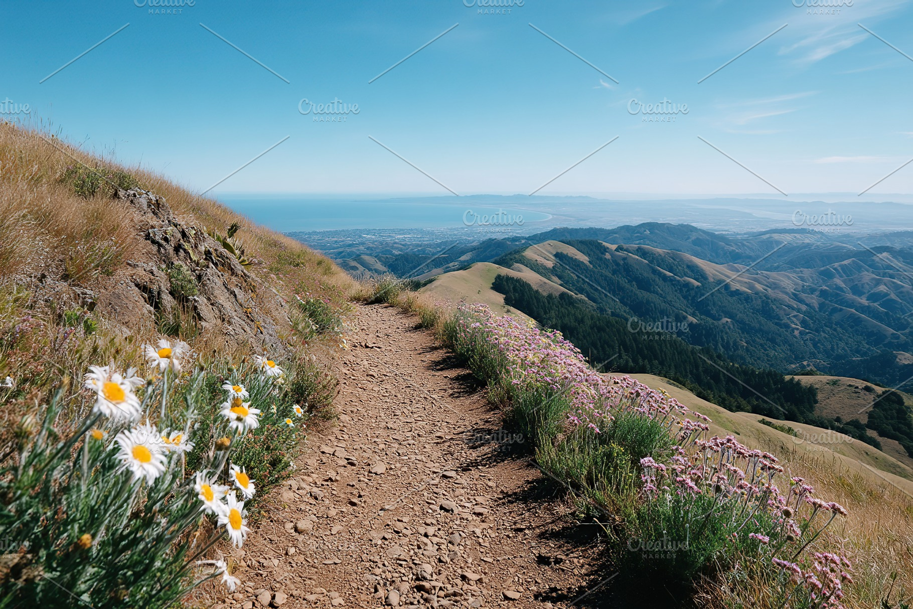 Scenic mountain view from a hiking trail surrounded by wildflowers on a sunny d, a Nature Photo by AlyaAnd