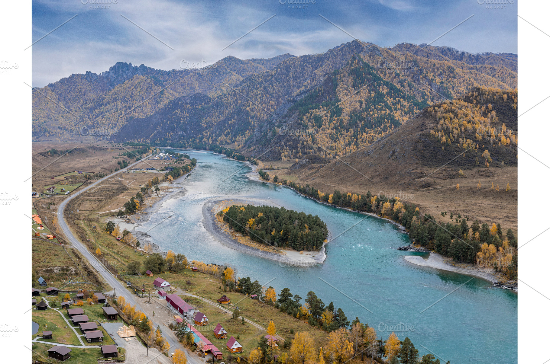 Panorama of Autumn Katun River and, an Animal Photo by Fascinadora