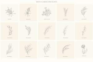 Birth-Flowers. Trendy Plants, Logos