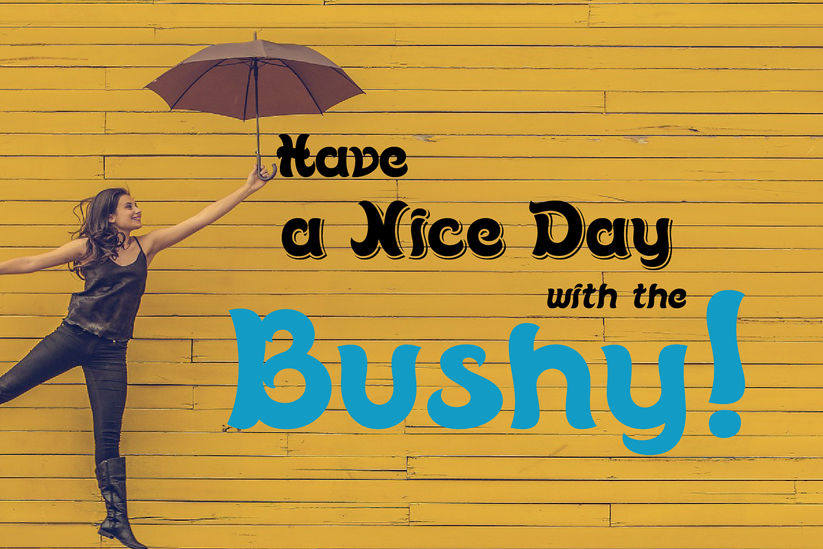 Bushy font family, a Script Font by vlad.berla (Photo 12 of 12)