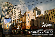 Lightroom Mobile Presets, an Action Add-On by ProPreset (Thumbnail 7 of 11)