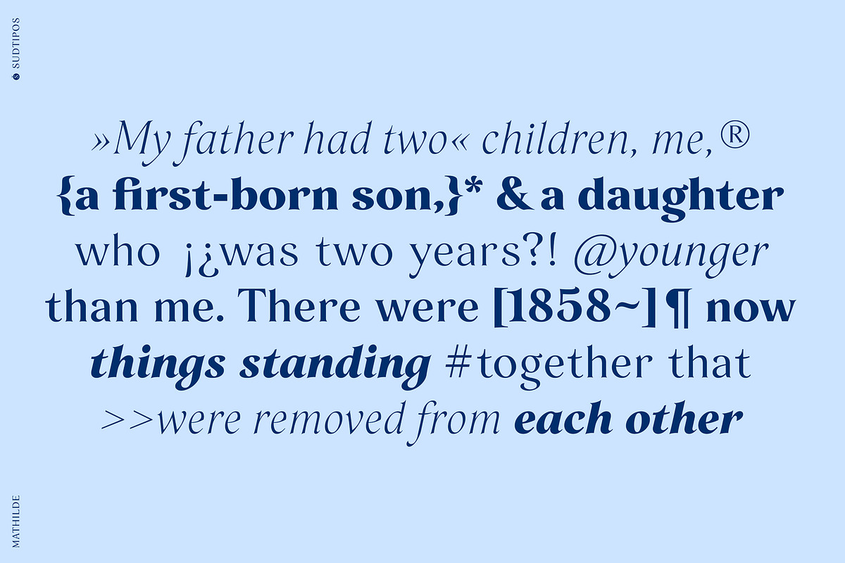 Mathilde, a Serif Font by Sudtipos (Photo 6 of 8)