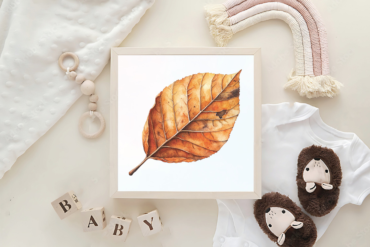 Watercolor Autumn Leaf Clipart, an Illustration by CraftArtStudio (Photo 6 of 6)