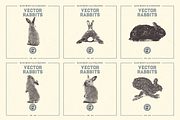 VECTOR RABBITS HAND DRAWN BUNDLE v18, an Animal Illustration by pawellpi (Thumbnail 2 of 7)
