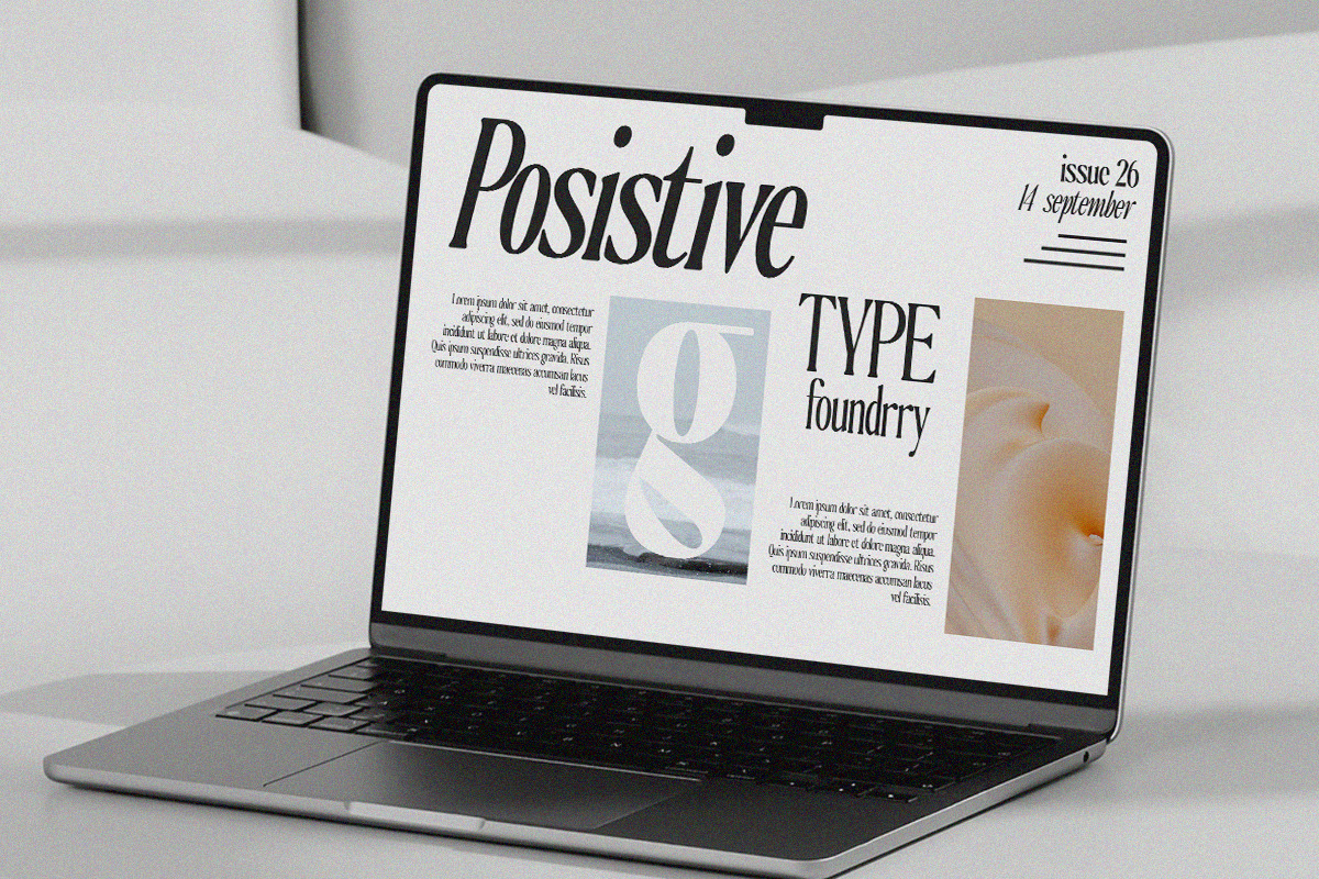 The Qualified Family (54 Fonts), a Serif Font by Positive TypeFoundry (Photo 4 of 15)