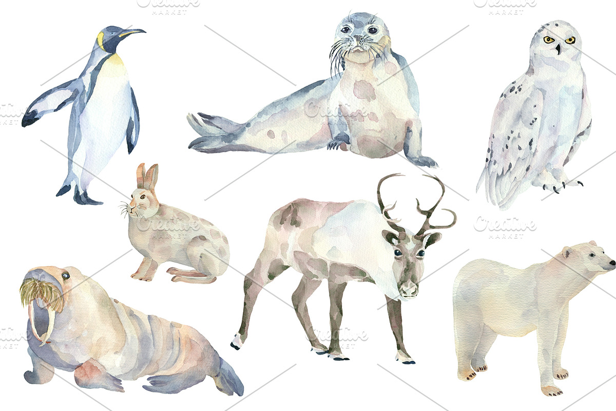 Welcom to the North!, an Animal Illustration by Watercolor arts (Photo 2 of 5)
