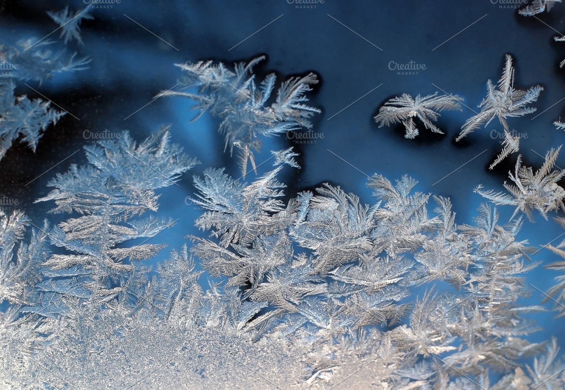 Frosty pattern, a Photo by saiko3p