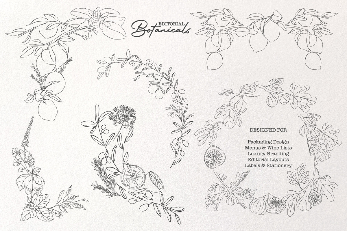 Editorial Botanical Line Art, an Object Illustration by Mio Buono (Photo 8 of 16)