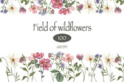 Field of wildflowers, an Object Illustration by ViolettaKh (Thumbnail 1 of 12)