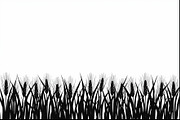 Harvest Wheat Border Designs, an Illustration by Creativeshirt (Thumbnail 6 of 9)