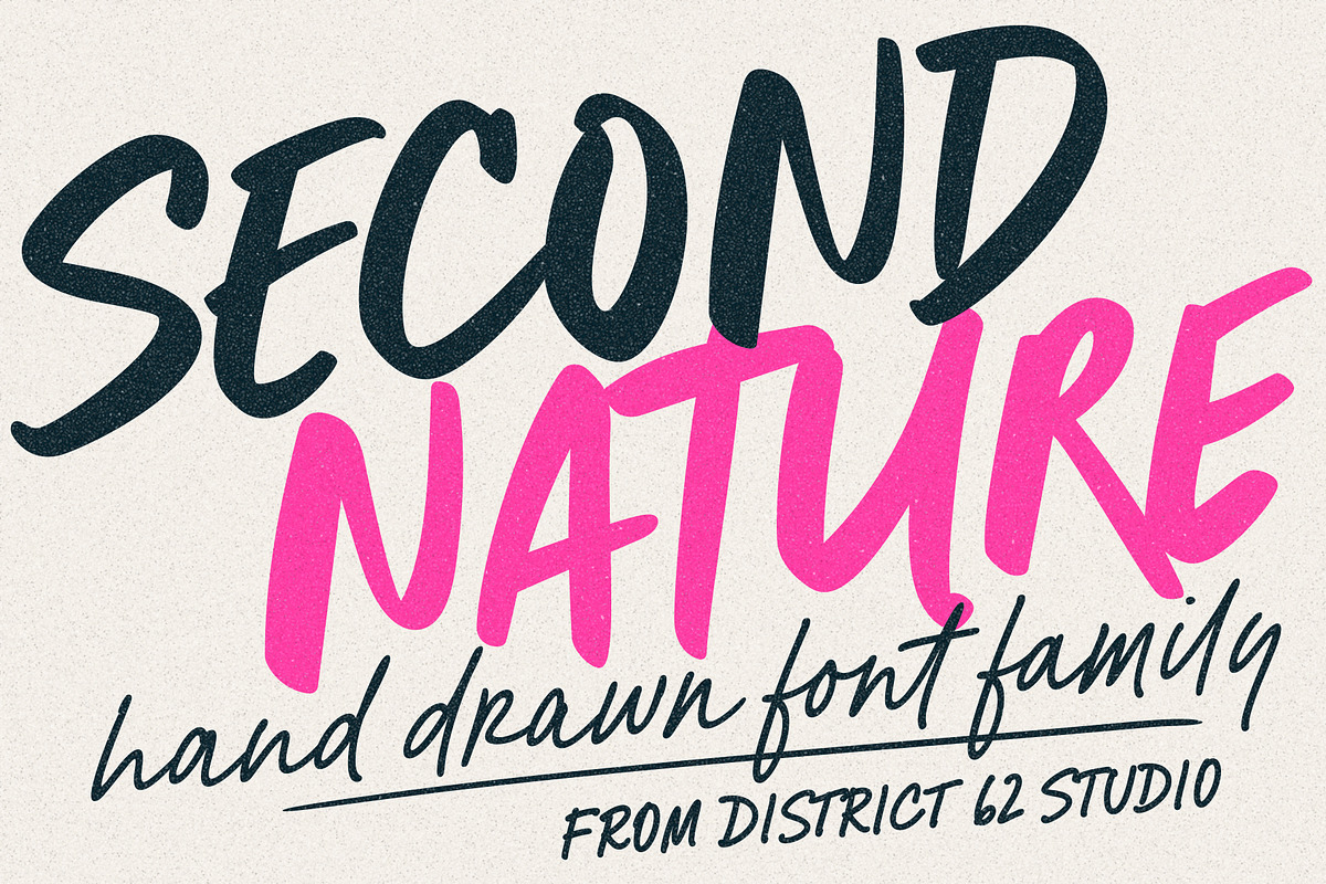 SECOND NATURE Font Collection, a Handwritten Font by DISTRICT 62 STUDIO (Photo 1 of 17)