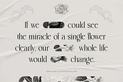 Gondhe - Elegant Serif with Swashes, a Serif Font by Burntilldead (Thumbnail 12 of 12)