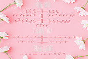 Andeglei, a Script Font by Letter-P (Thumbnail 16 of 17)