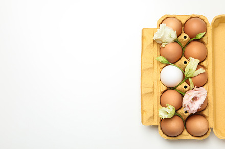 Concept of spring, eggs with flowers, space for text, a Food & Drink Photo by AtlasStudio PRO