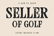 CS Ariela Stamp, a Serif Font by Craft Supply Co. (Thumbnail 4 of 8)