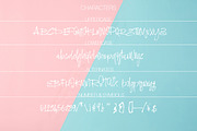 Ramsterink Script  Brush Font, a Script Font by Design Dukkan (Thumbnail 9 of 9)