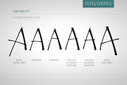 Festa Classica Family, a Font by Green Type (Thumbnail 3 of 8)