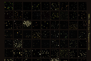 100 Fireflies Overlays