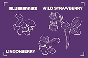 BERRY LINE ART SET (20 elements), a Food Illustration by Bonfloret Studio (Thumbnail 3 of 9)