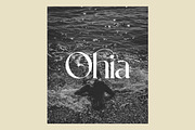 Leky Calgria Elegant Serif, a Serif Font by Hishand Studio (Thumbnail 12 of 12)