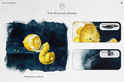 True Watercolor Procreate Brushes, a Brush Add-On by Freezerondigital (Thumbnail 3 of 17)