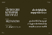 Cergian Elegant Ligature Serif Font, a Serif Font by Perfectype (Thumbnail 6 of 6)