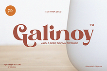 Galinoy - Bold Modern Serif Display