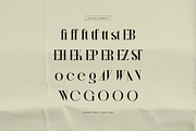Wonder Astrella Modern Display Serif, a Serif Font by gracetype_studio (Thumbnail 11 of 12)