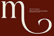 Bela Serfane Elegant Serif Font, a Serif Font by Rasio Studio (Thumbnail 3 of 11)