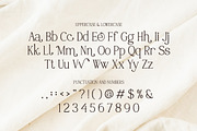 Wallmore – Elegant Display Serif, a Serif Font by Vadovastd (Thumbnail 8 of 8)