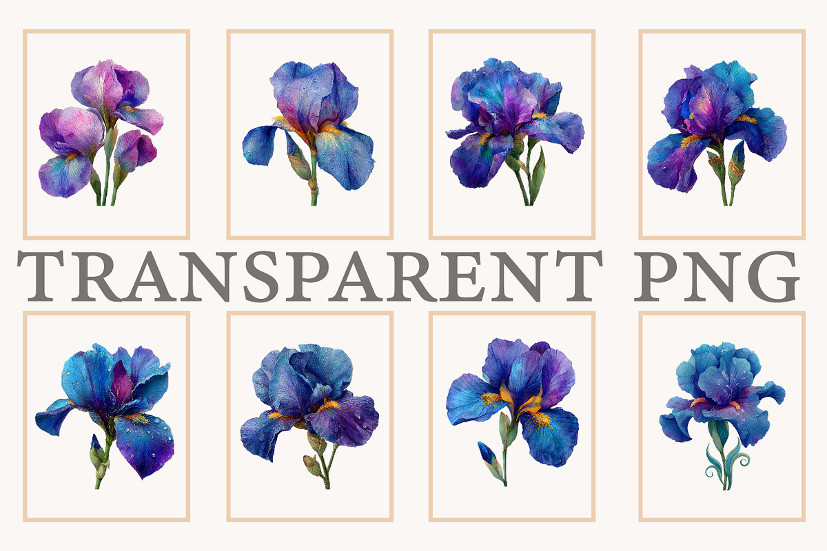 Wild Iris Clipart, an Illustration by Designworld (Photo 6 of 10)