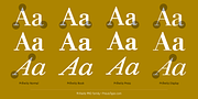 Prillwitz PRO, a Serif Font by preussTYPE (Thumbnail 3 of 9)