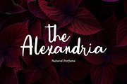 Stay Inspired - Natural Handwritten, a Handwritten Font by Bluestype Studio (Thumbnail 4 of 7)