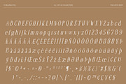 CS Remain Pixel, a Serif Font by Craft Supply Co. (Thumbnail 8 of 8)