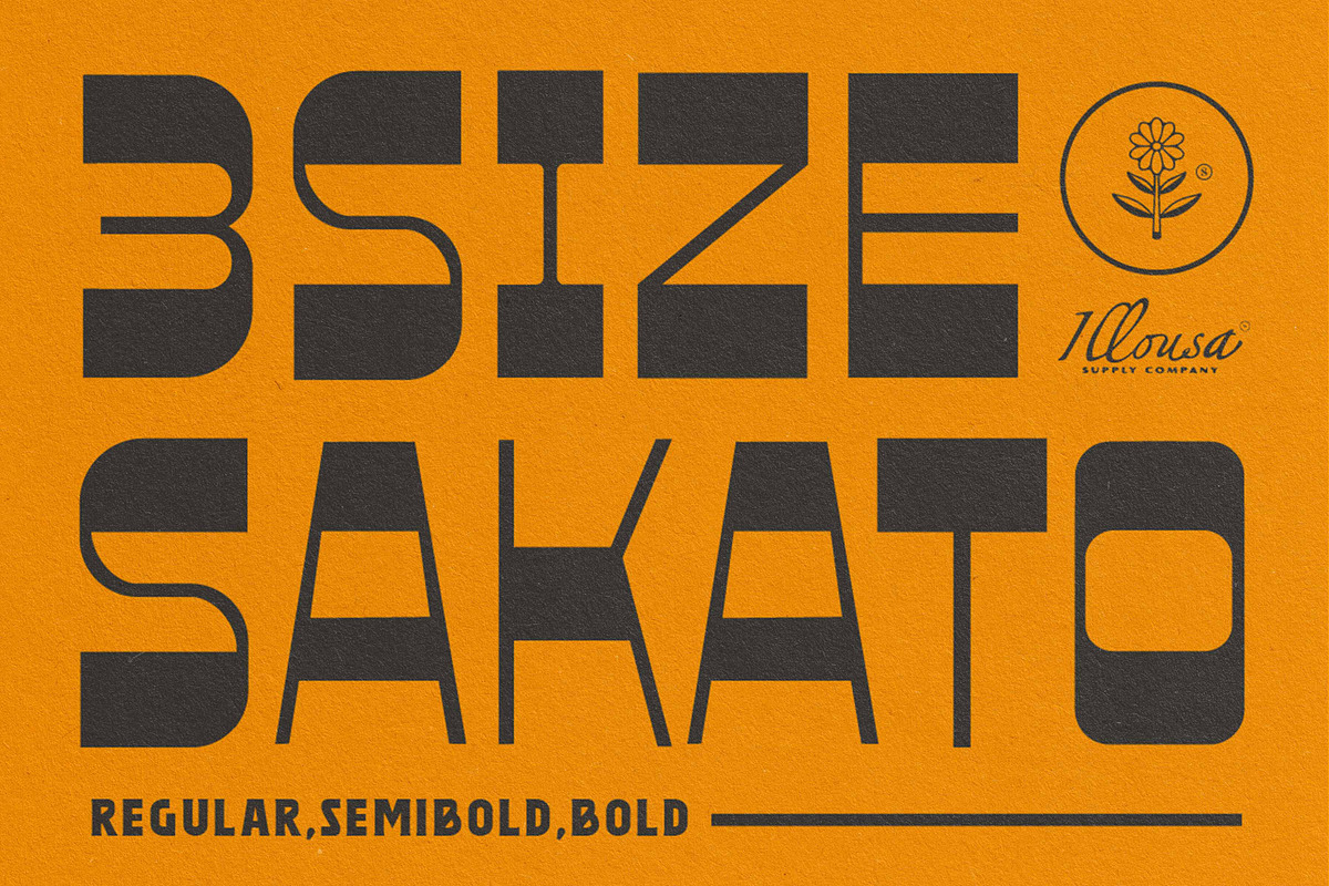 Sakato | Vintage Print Font, a Serif Font by Illousa (Photo 1 of 4)