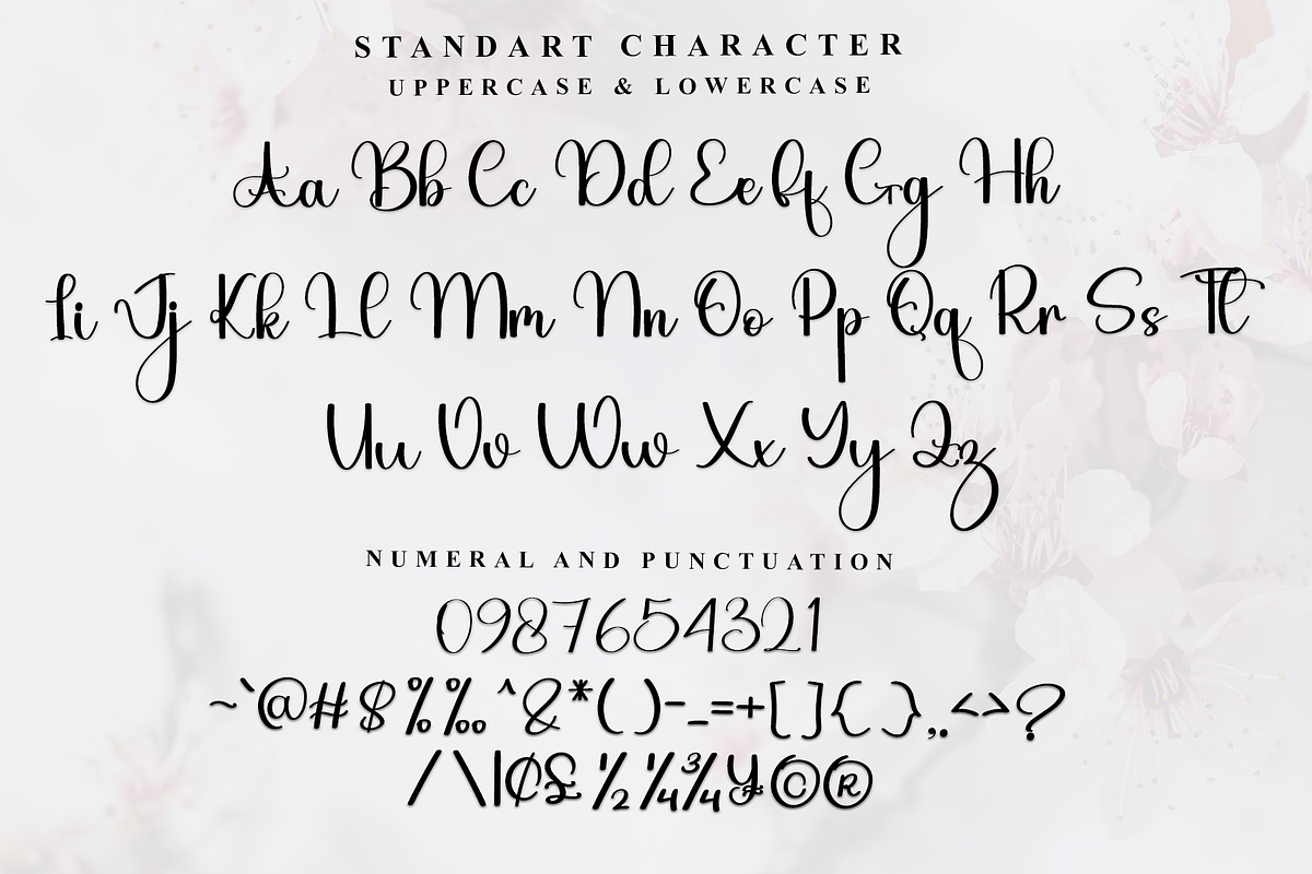 Elegant Signature, a Handwritten Font by InermediaSTUDIO (Photo 4 of 7)
