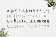 Roundor Font Family - Sans Serif, a Sans Serif Font by RC graphics (Thumbnail 3 of 9)