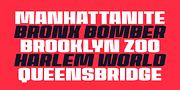 House Sans, a Sans Serif Font by TypeUnion (Thumbnail 2 of 15)