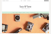 The Lucy & Lane Theme, a WordPress Template by angiemakeswebsites (Thumbnail 1 of 5)