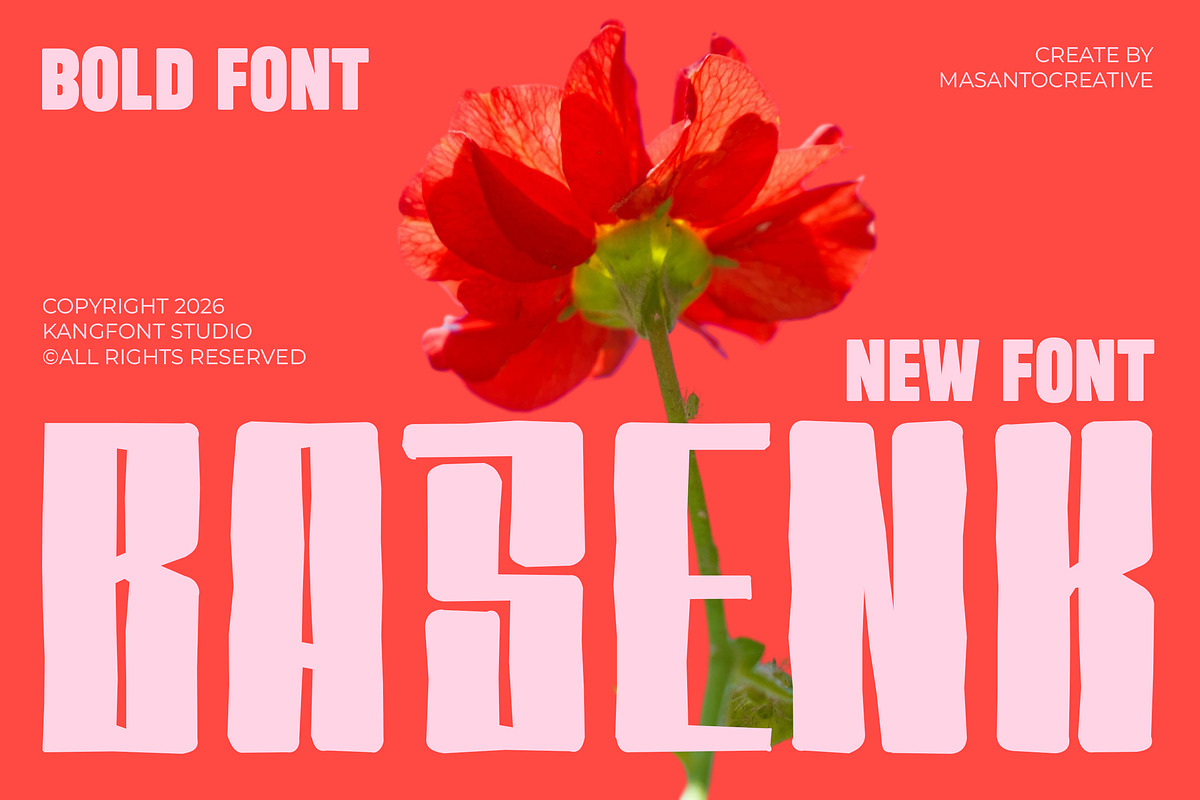 Basenk – Bold Organic Playful Displa, a Sans Serif Font by kangfont Studio (Photo 1 of 10)