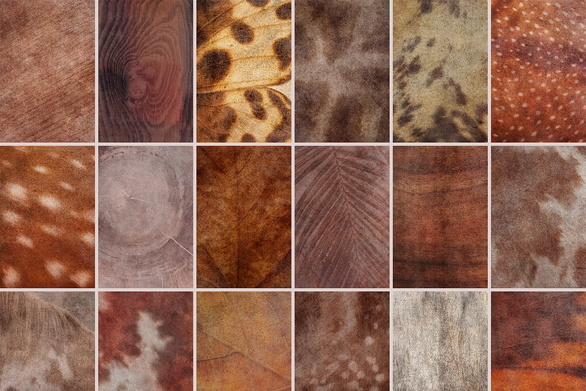 Vestige · Organic Backgrounds, a Background Graphic by alonahaidash (Photo 8 of 14)