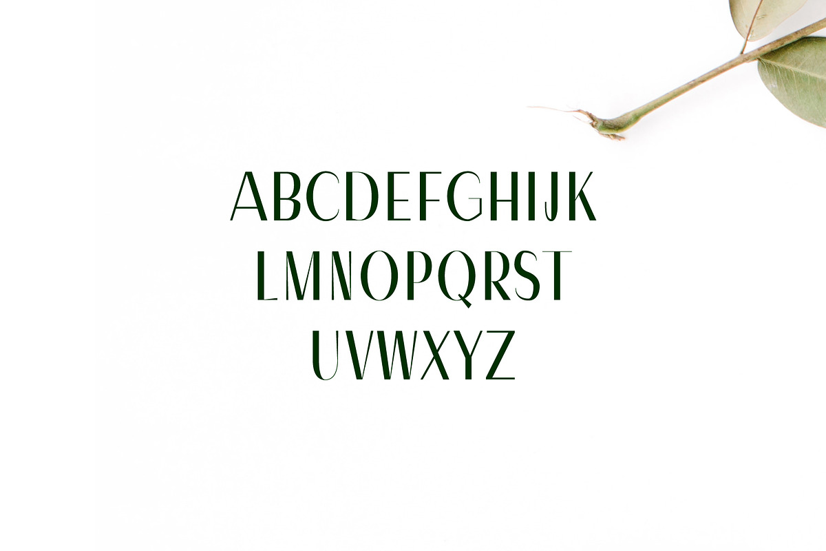 Severn Sans Serif Font Family preview 2
