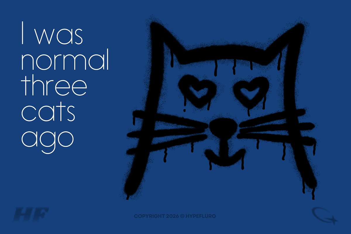 Ebisu 16 Sans Serif Text Fonts, a Sans Serif Font by HyperFluro (Photo 8 of 11)