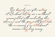 Betris & Daniel | Wedding Font, a Script Font by Ef Studio (Thumbnail 11 of 19)