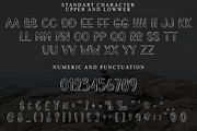 Bubble Costum, a Serif Font by FreshTypeINK (Thumbnail 4 of 8)