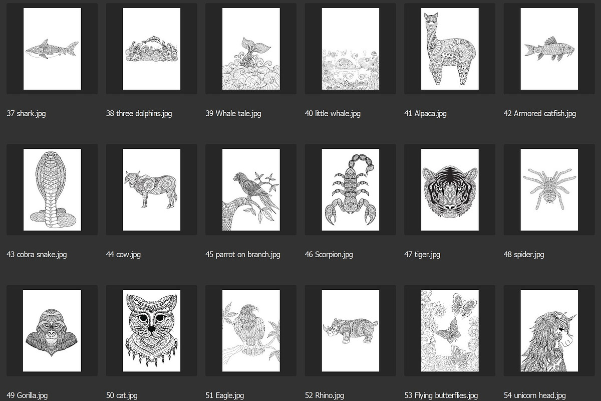 150 animals for adult coloring book, an Animal Illustration by Somjai King (Photo 4 of 10)