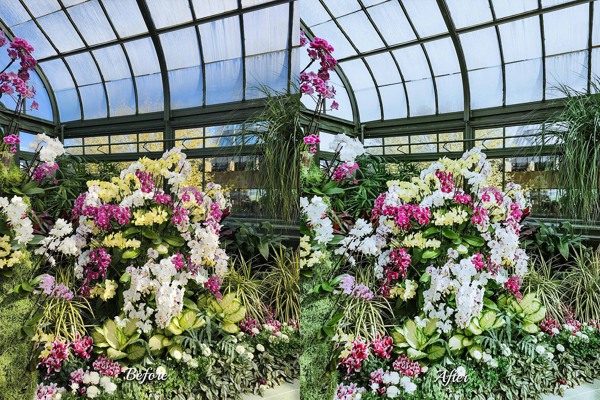 30 Flowers LUT Collection, a Preset Add-On by 3Motional (Photo 10 of 10)