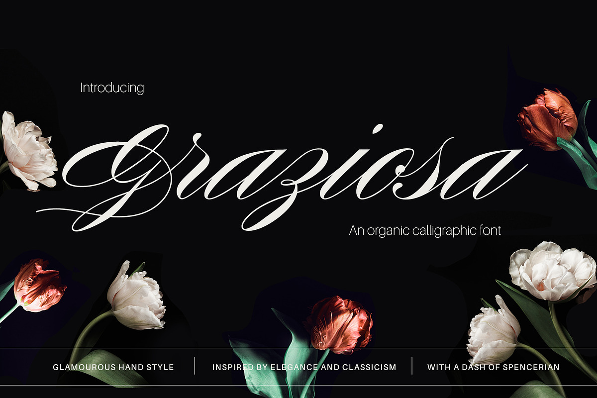 Graziosa Script Font, a Script Font by Corina Moscu (Photo 1 of 10)