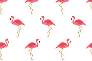 Seamless pattern pink flamingo, a Pattern Graphic by Viktorijareut (Thumbnail 1 of 5)